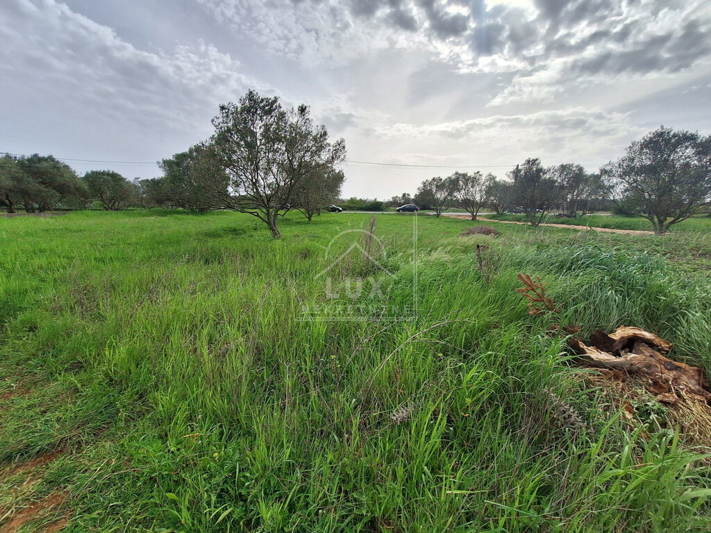 Image 6227798 - 2