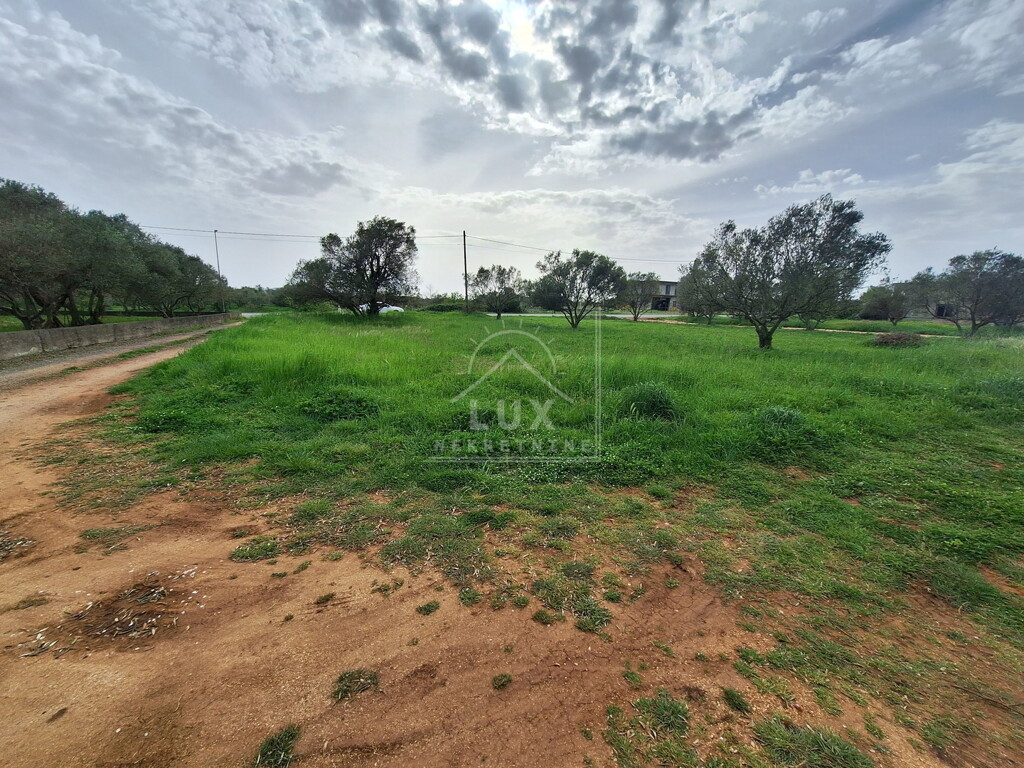 Image 6227798 - 6