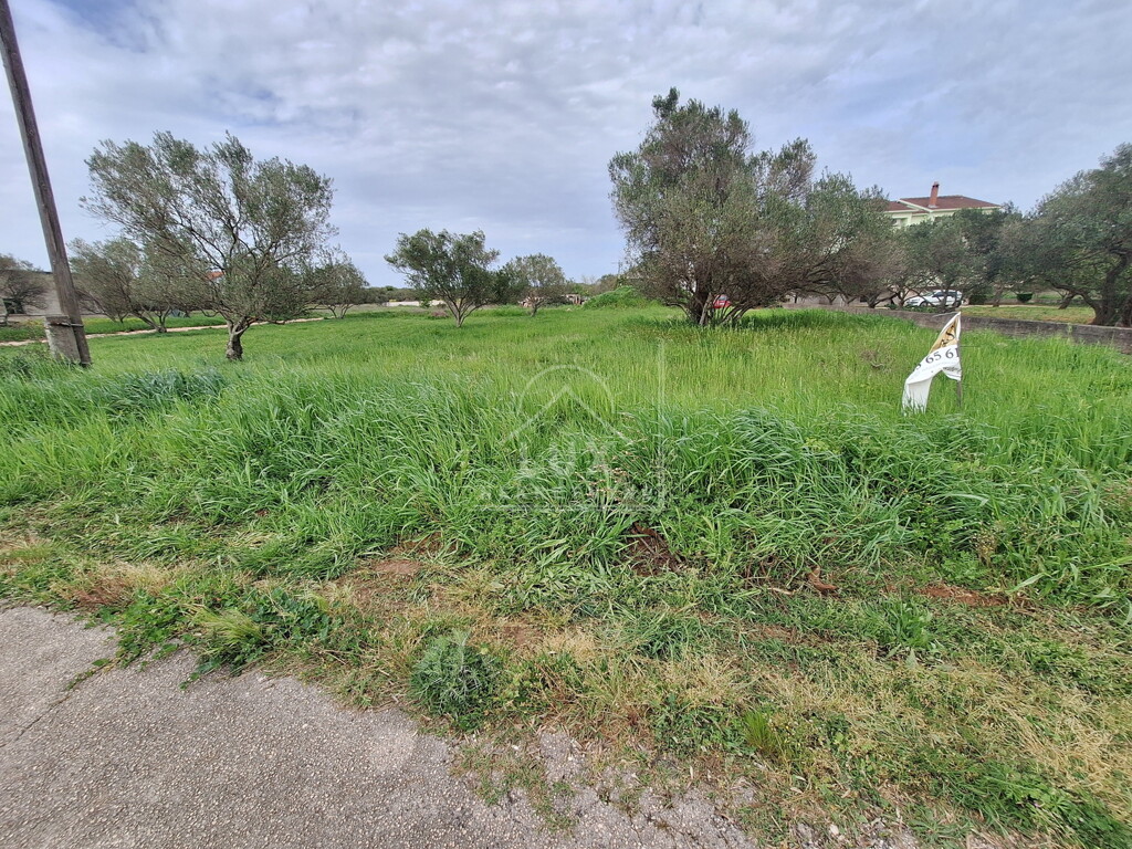 Image 6227798 - 1