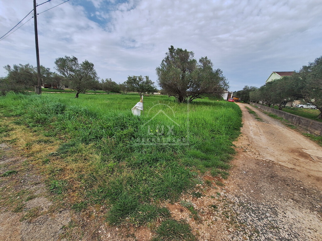 Image 6227798 - 8
