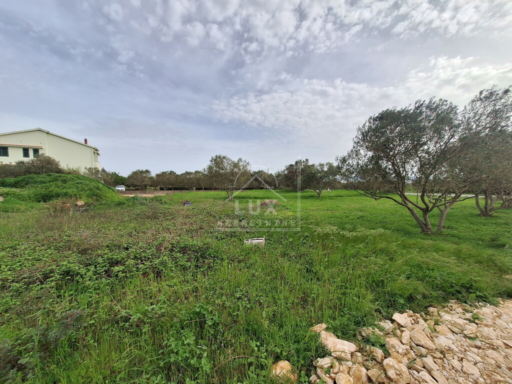 Image 6227798 - 4