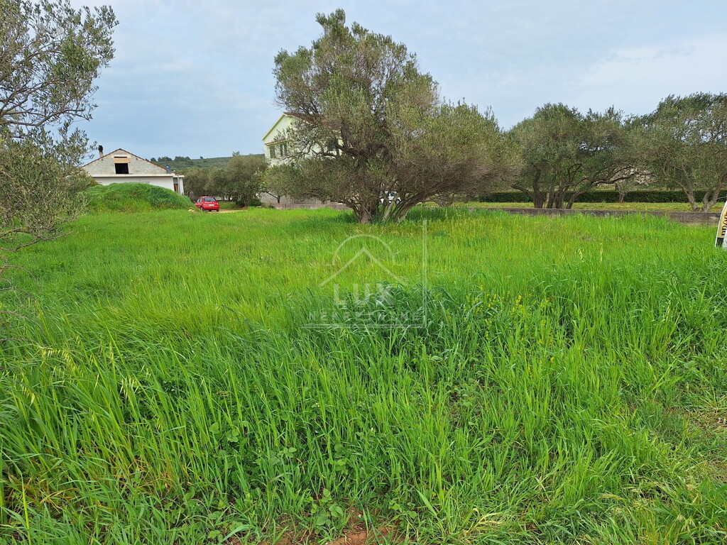 Image 6227798 - 3