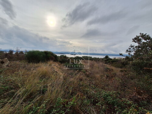 Thumbnail 6227804 - 3