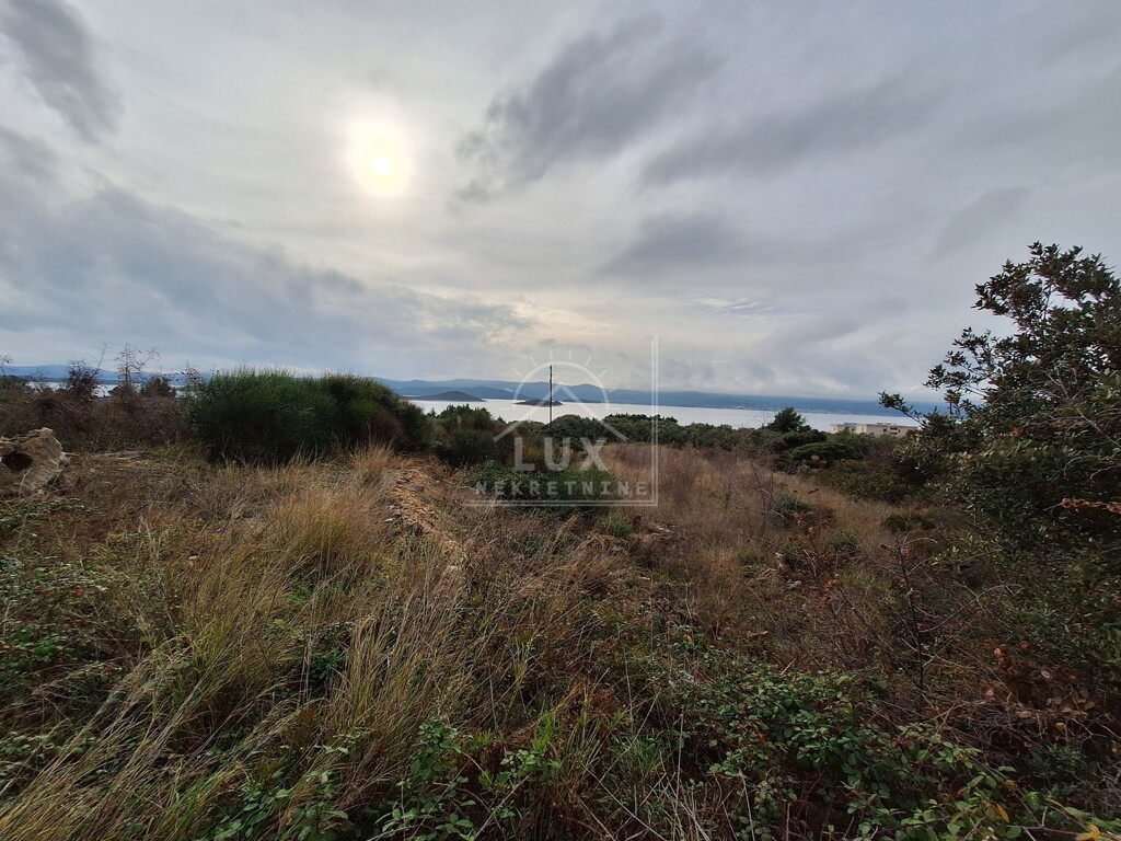 Image 6227804 - 3