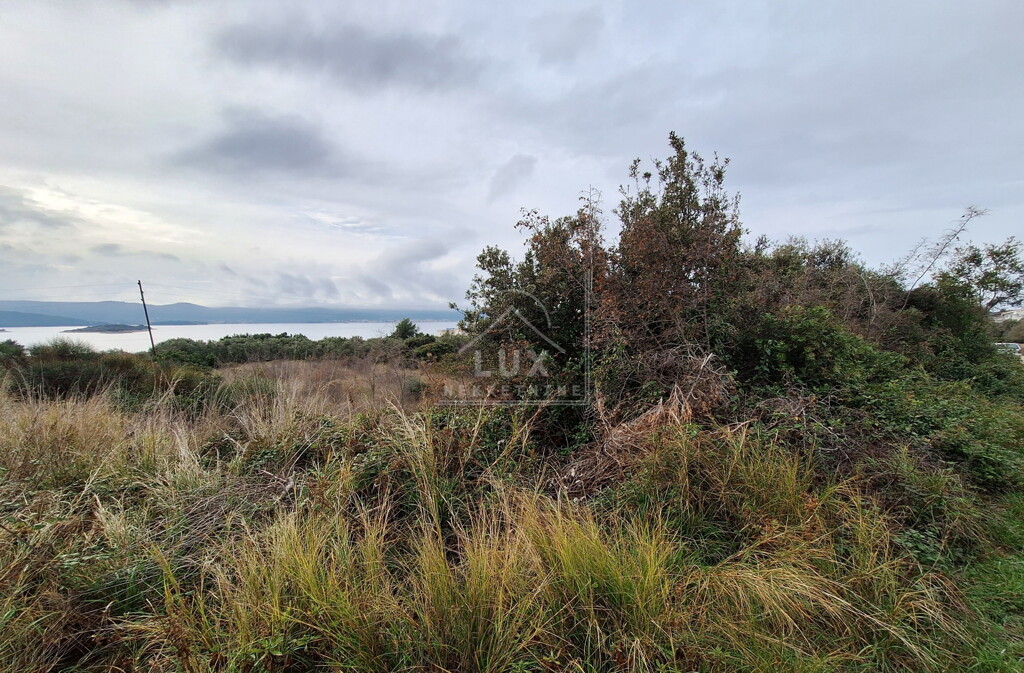 Image 6227804 - 4