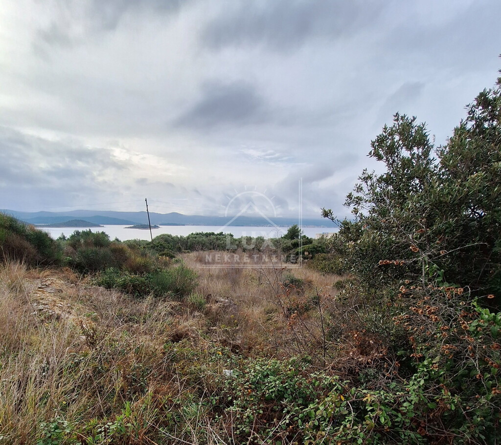 Image 6227804 - 2