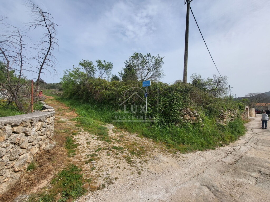 Image 6227836 - 2