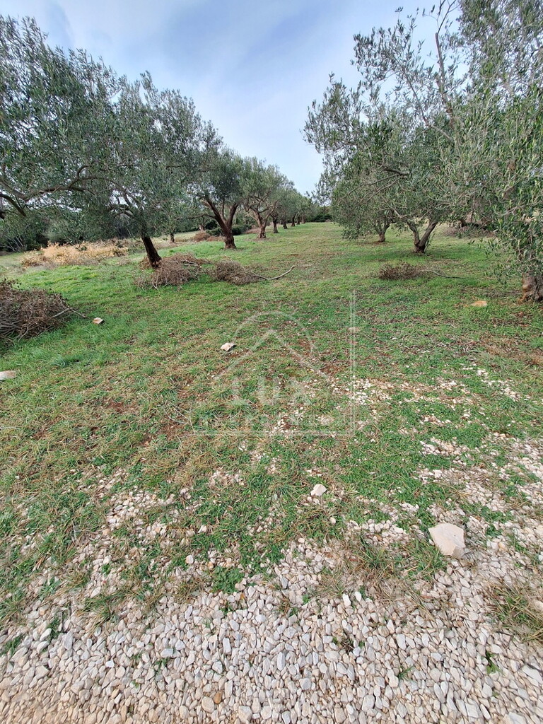 Image 6227865 - 2