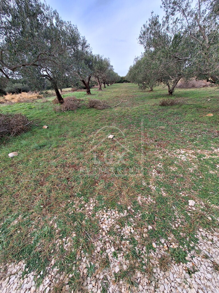Image 6227865 - 1