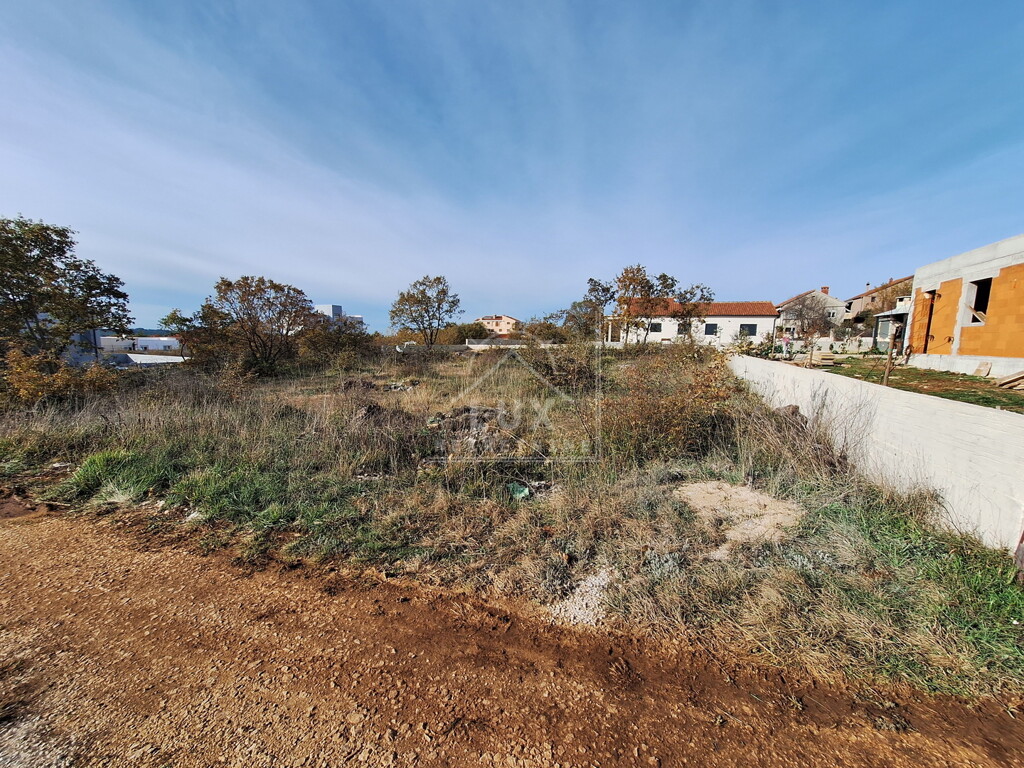 Image 6227881 - 8