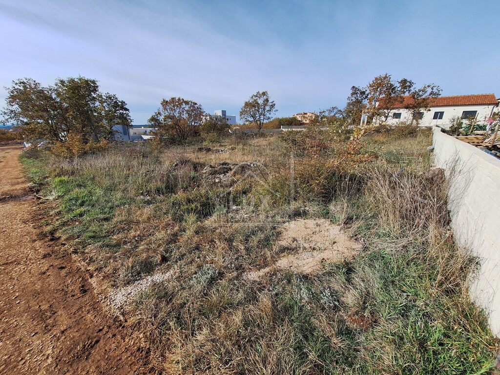 Image 6227881 - 7