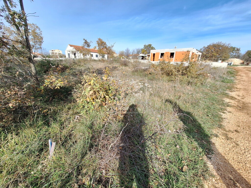Image 6227881 - 4