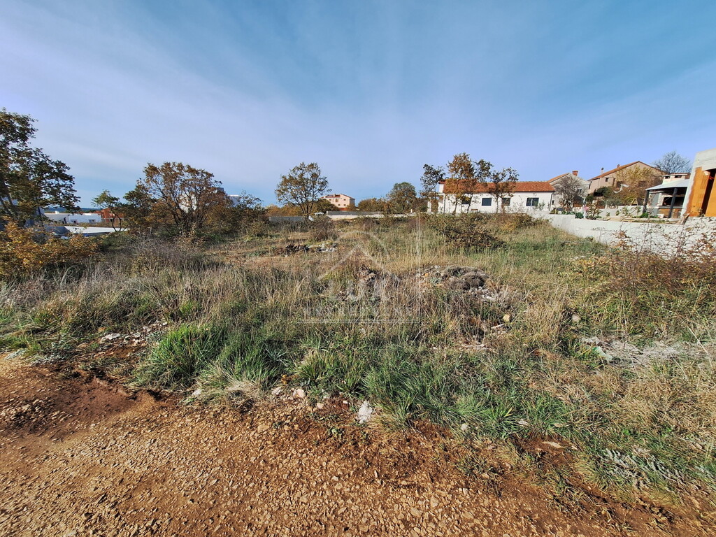 Image 6227881 - 1