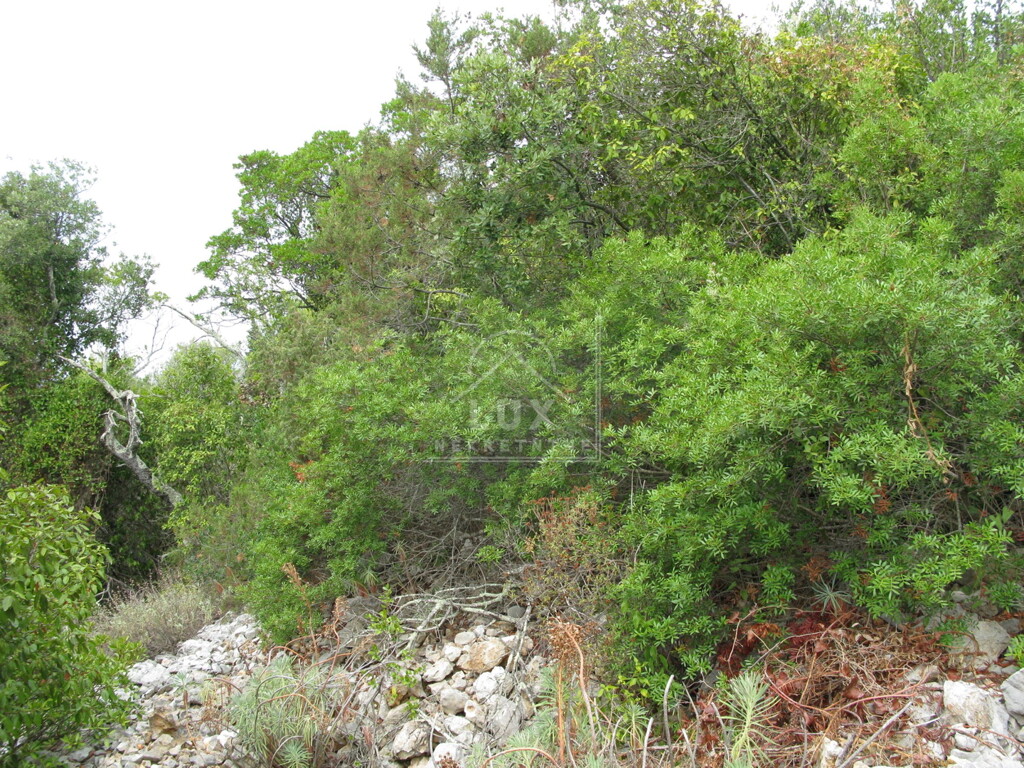 Image 6227882 - 1