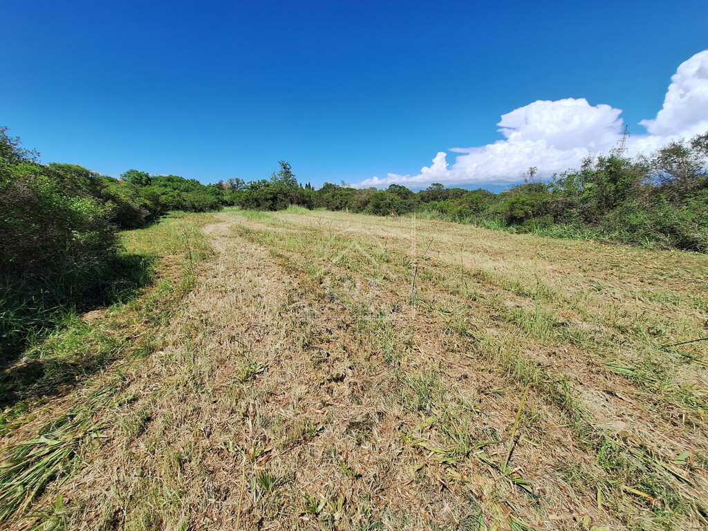 Image 6227911 - 1