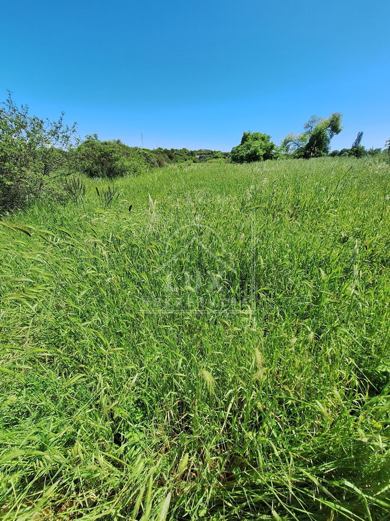 Image 6227911 - 4