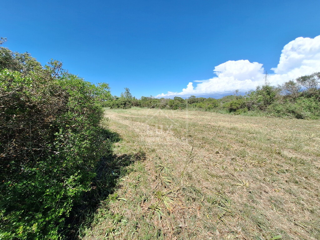 Image 6227911 - 2