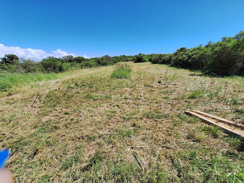 Image 6227912 - 1