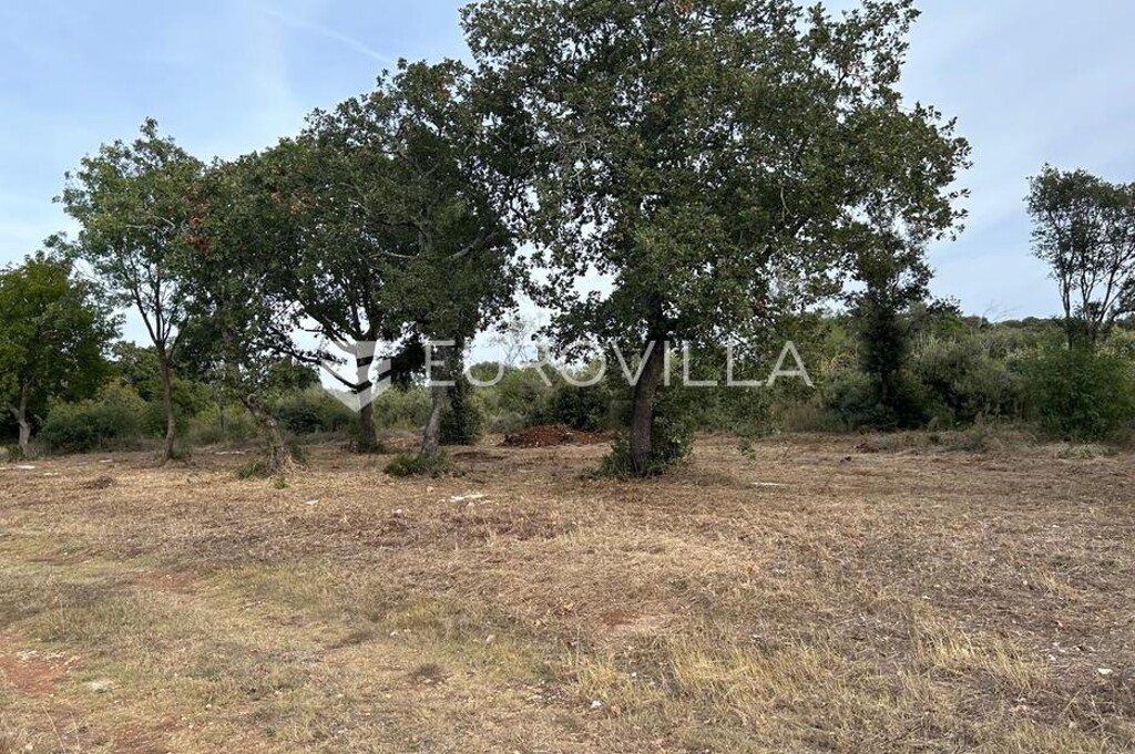 Image 6228023 - 8