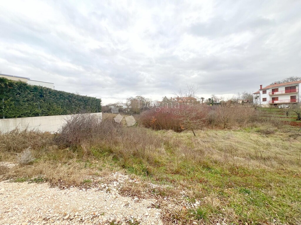 Image 6228052 - 6