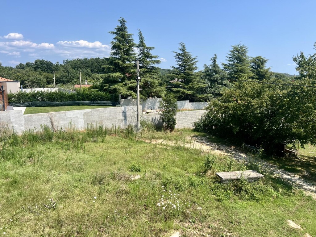 Image 6228055 - 4