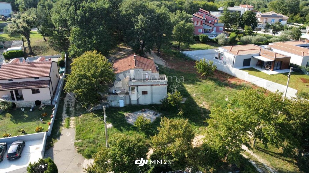 Image 6228055 - 1