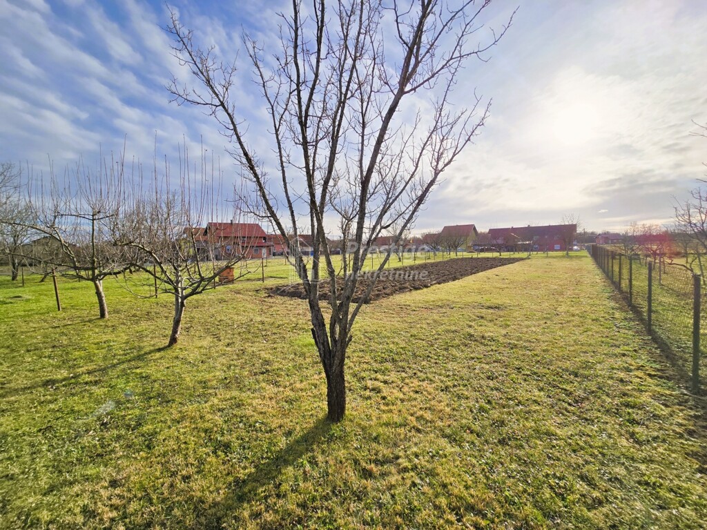 Image 6228068 - 13