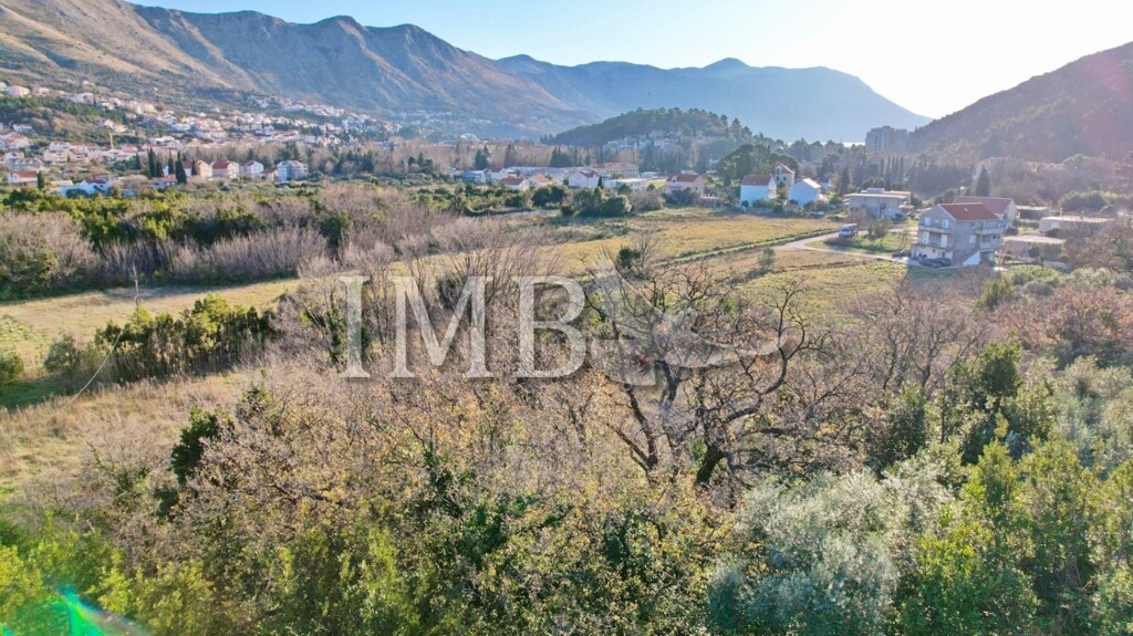 Image 6228081 - 1
