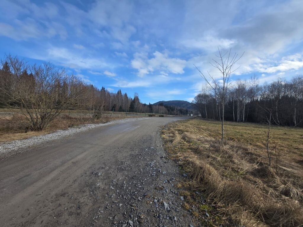 Image 6228087 - 2