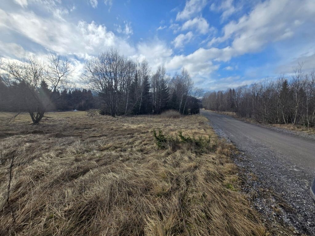 Image 6228087 - 1