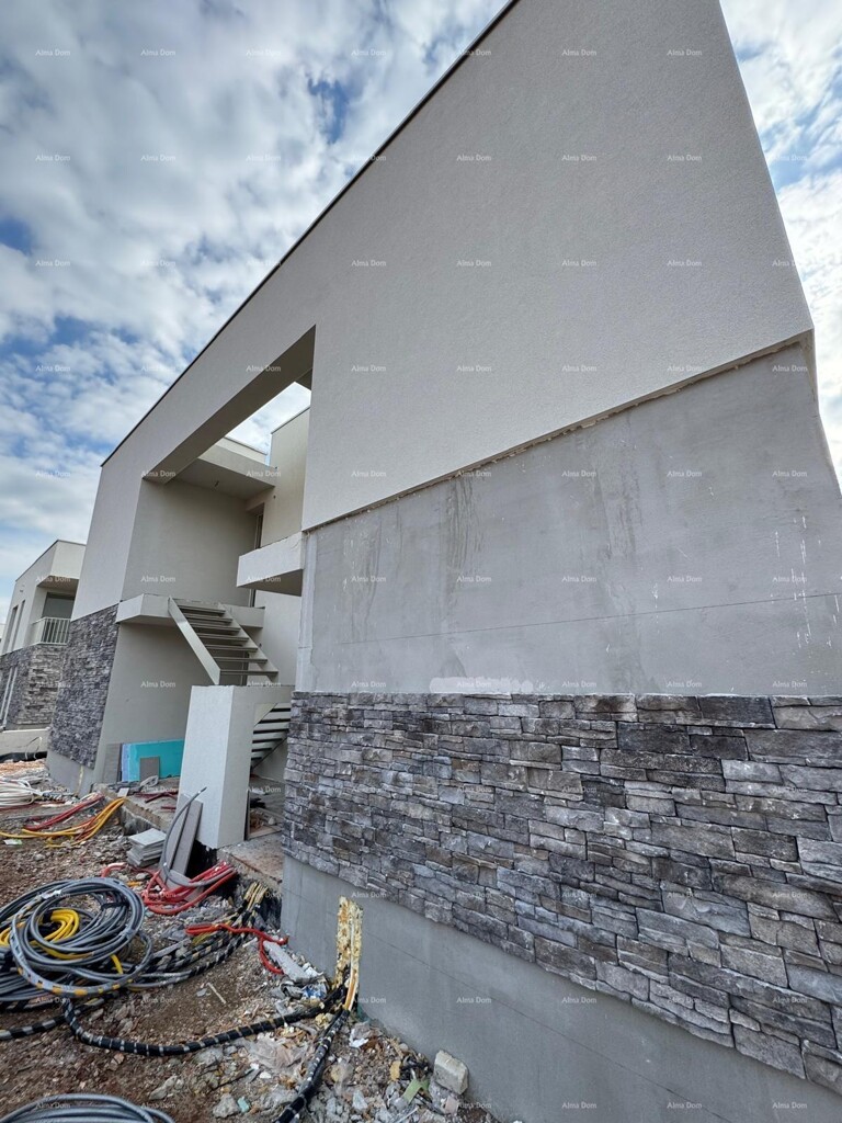 Image 6228149 - 9