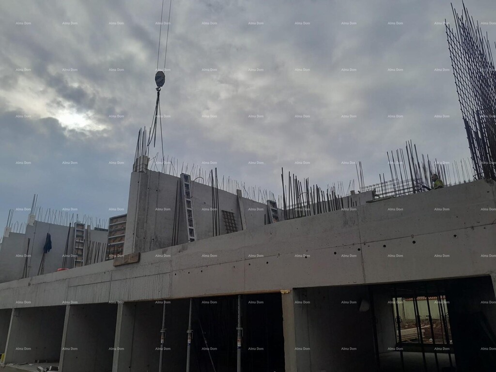 Image 6228151 - 9