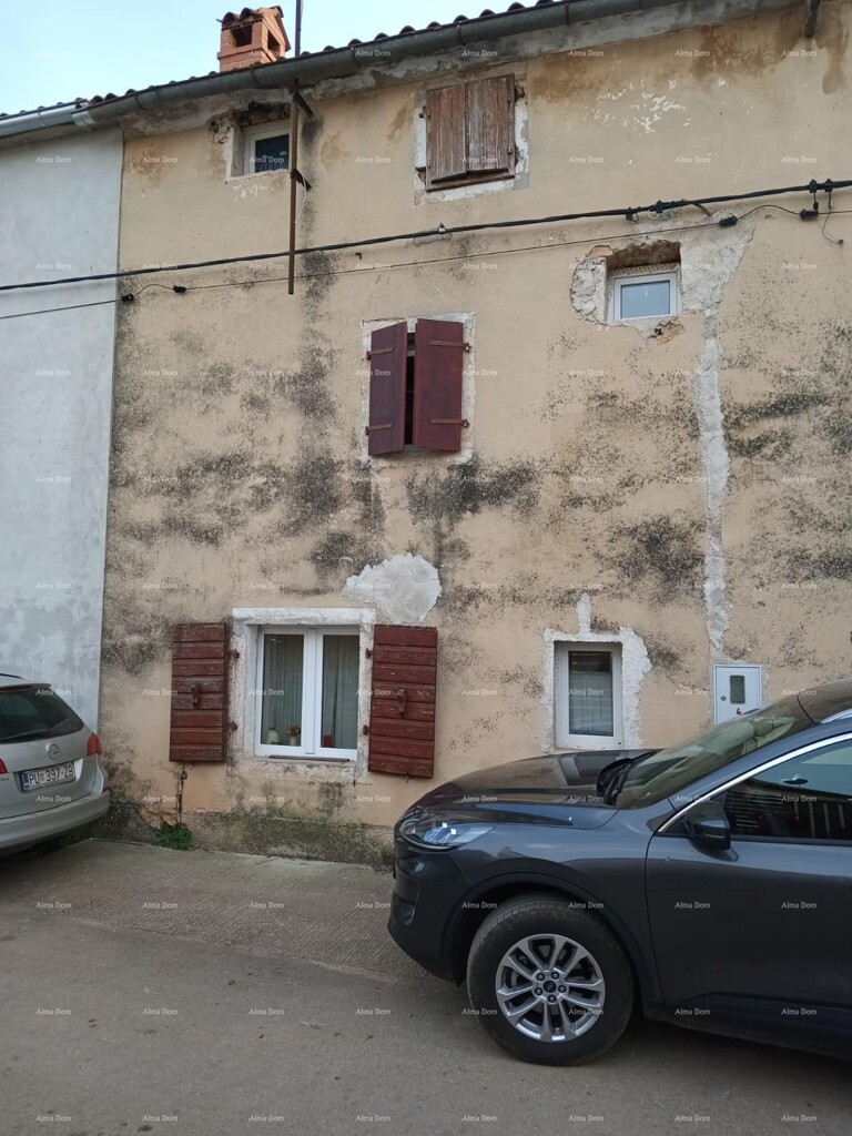 Image 6228160 - 10
