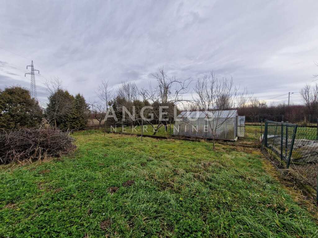 Image 6228169 - 12