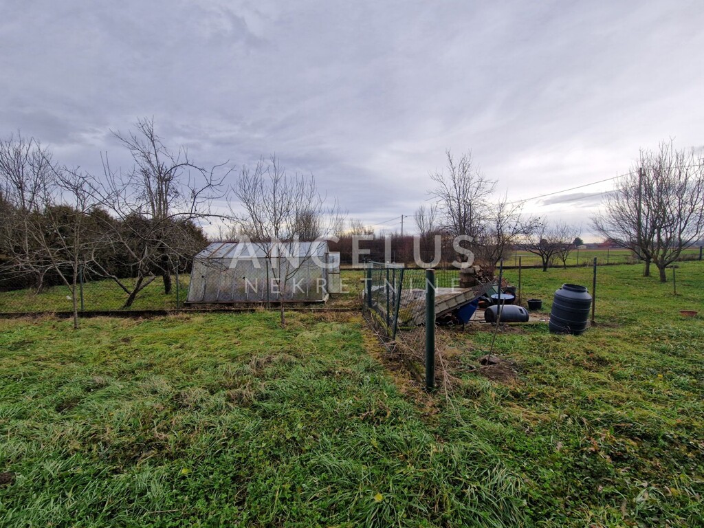 Image 6228169 - 13