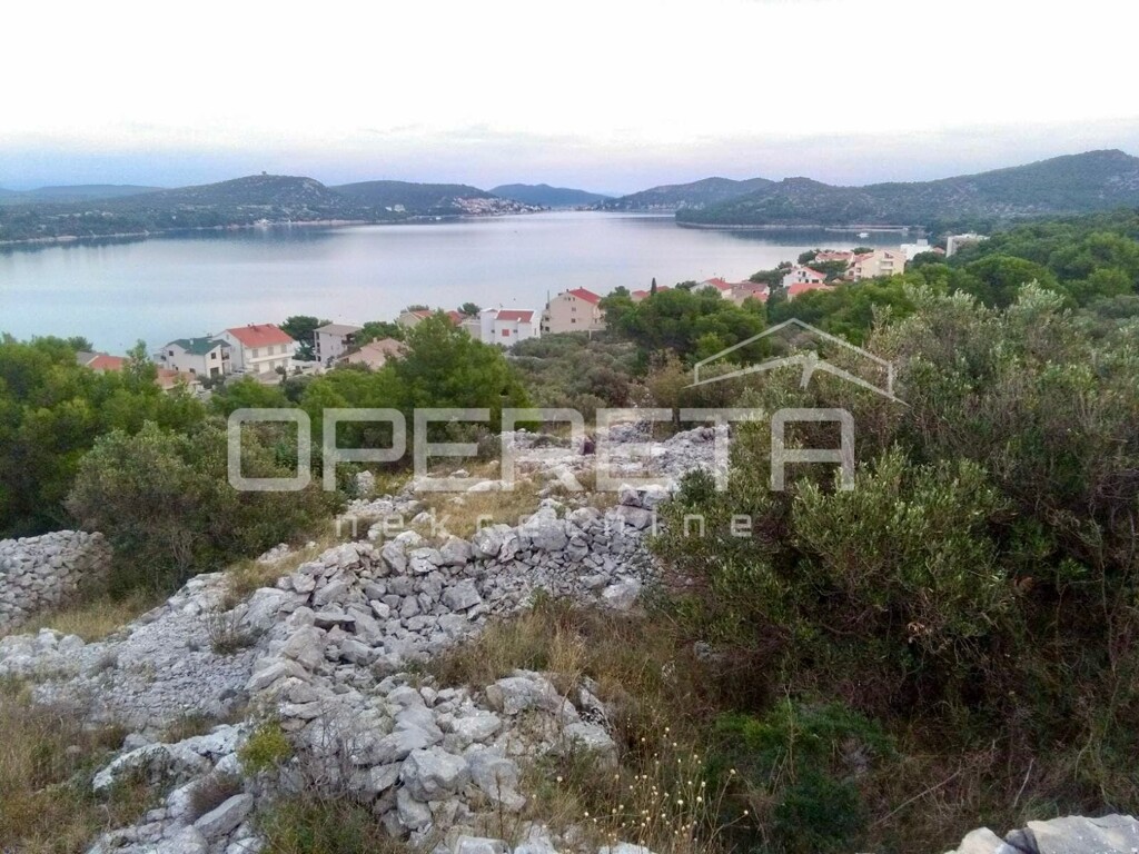 Image 6228219 - 1