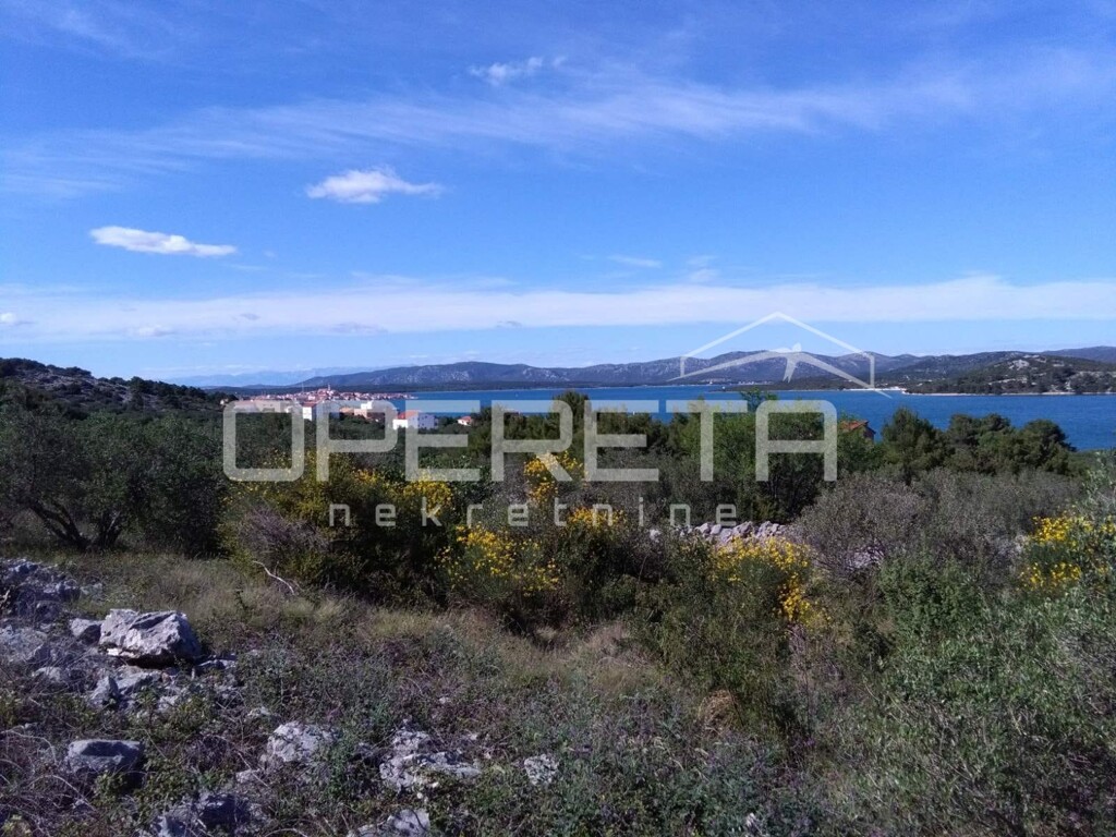 Image 6228219 - 2