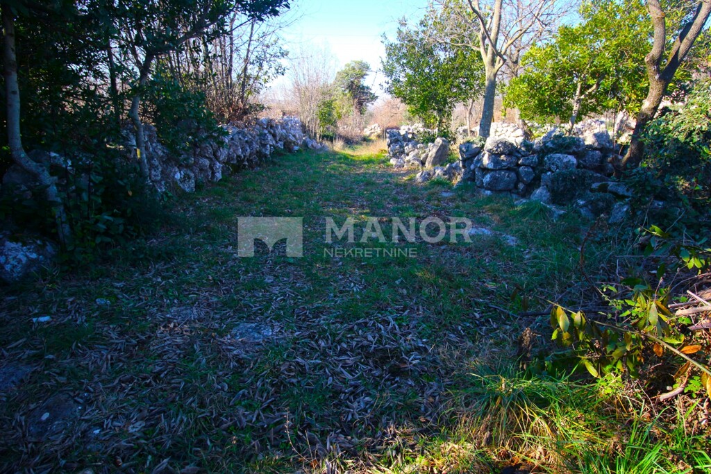 Image 6228262 - 4