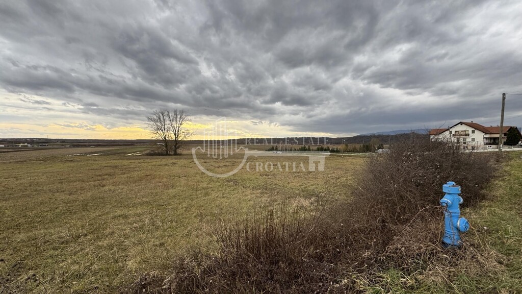 Image 6228286 - 3