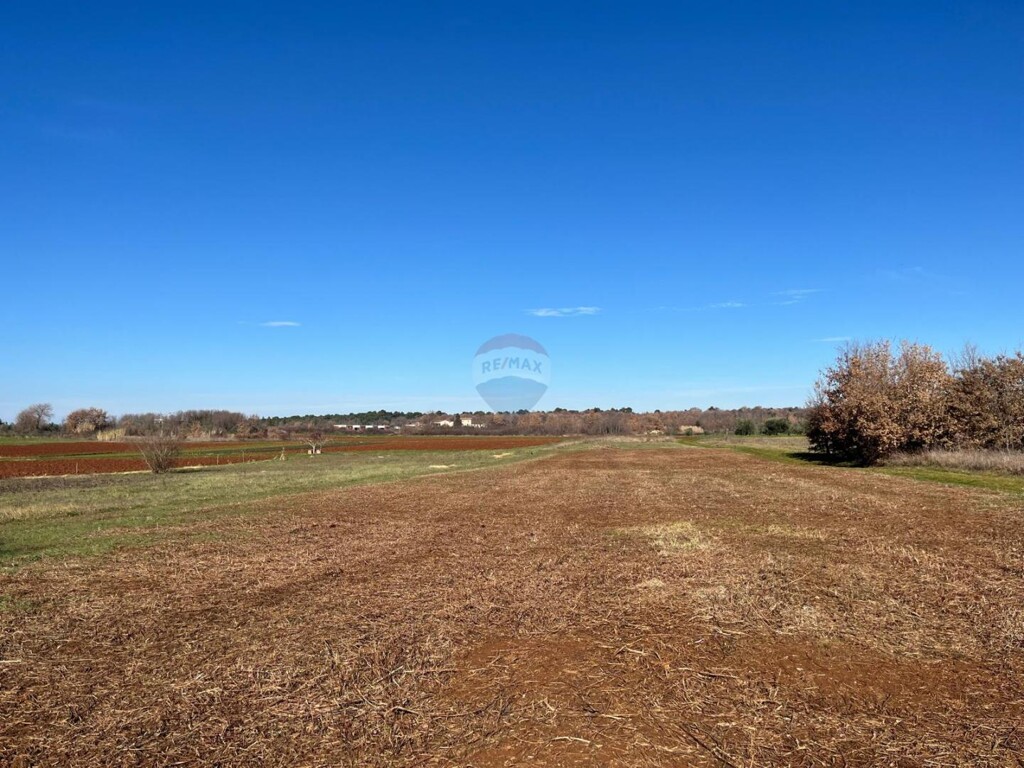 Image 6228297 - 3
