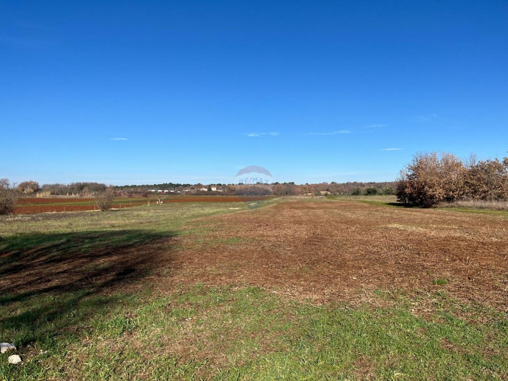 Image 6228297 - 1