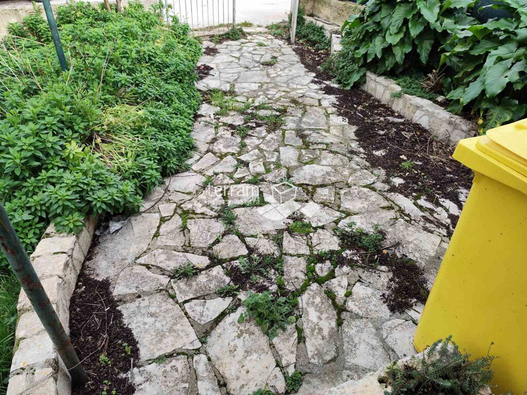 Image 6228300 - 4