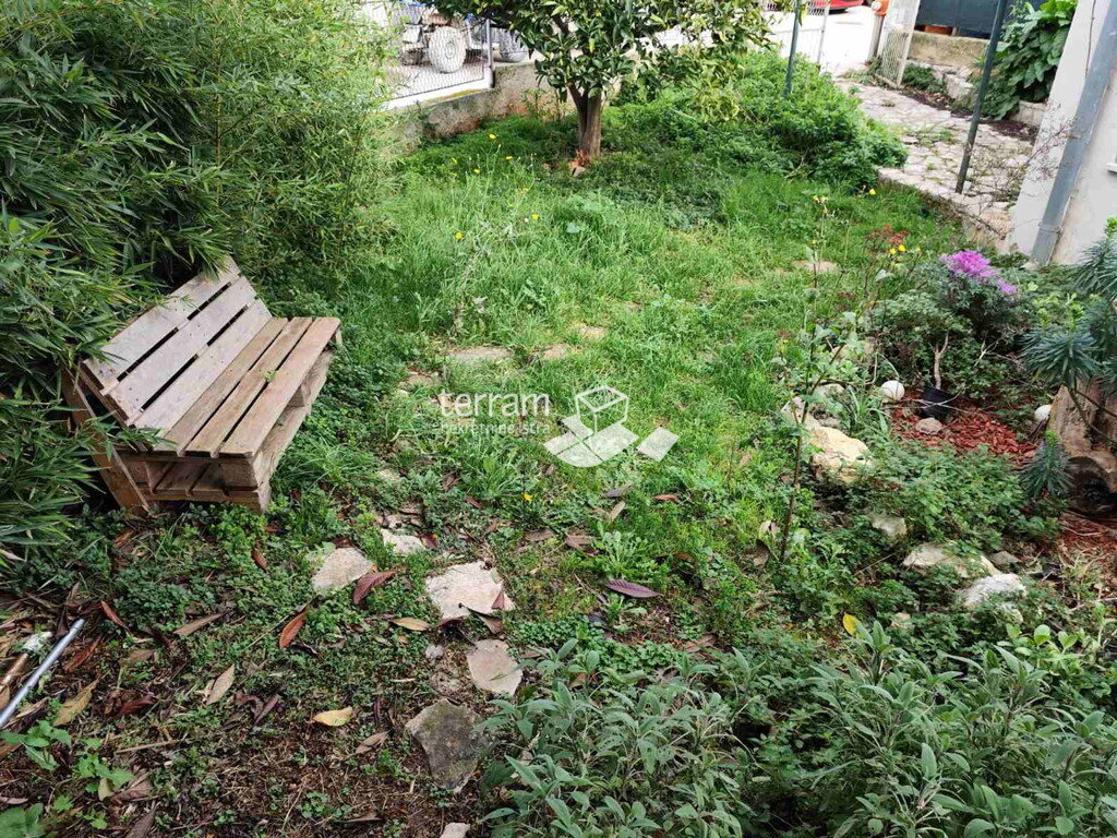Image 6228300 - 1