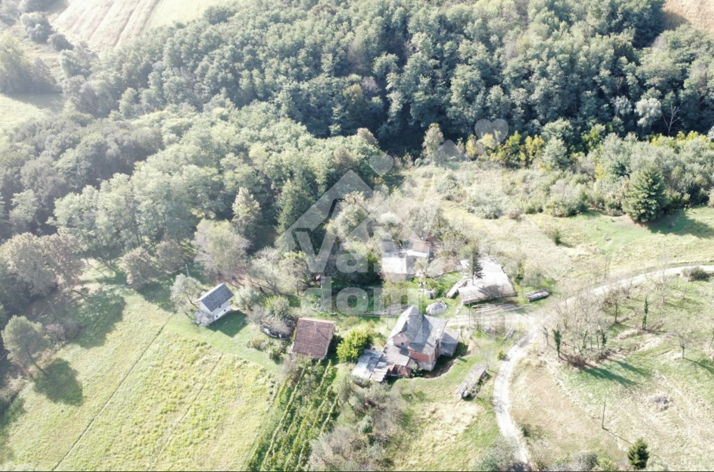 Image 6228302 - 6