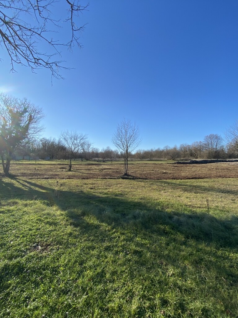 Image 6228303 - 2