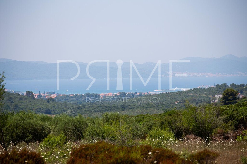 Image 6228569 - 1