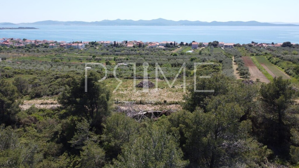Image 6228573 - 2