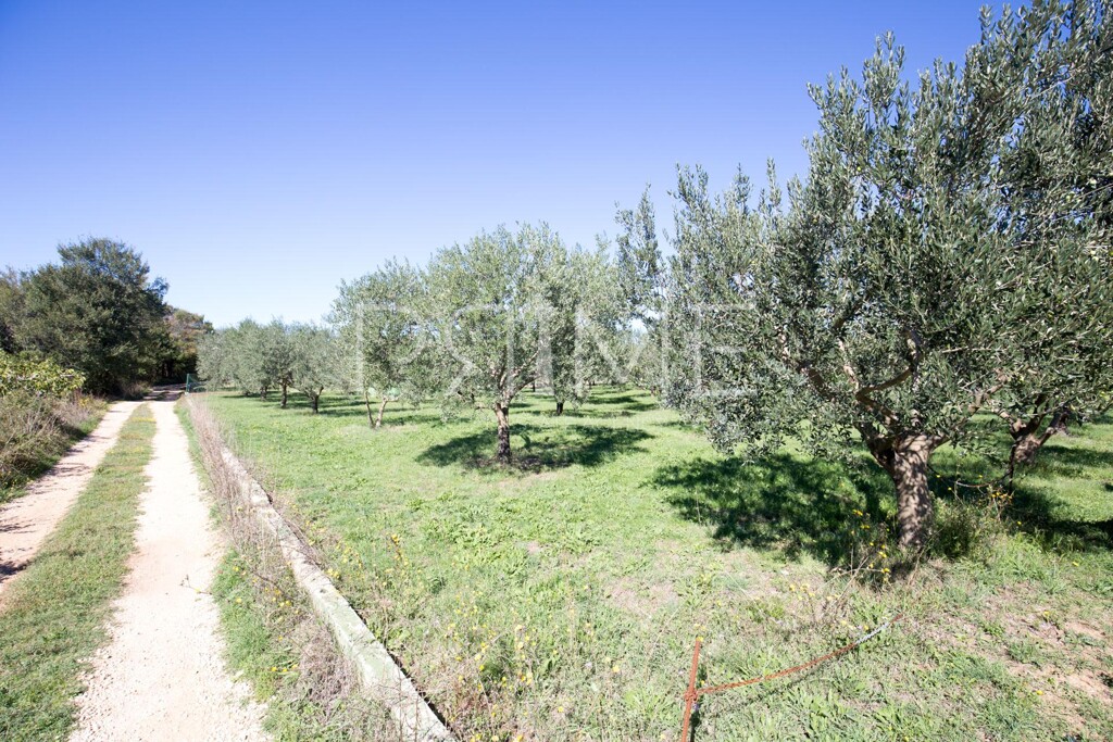 Image 6228584 - 3
