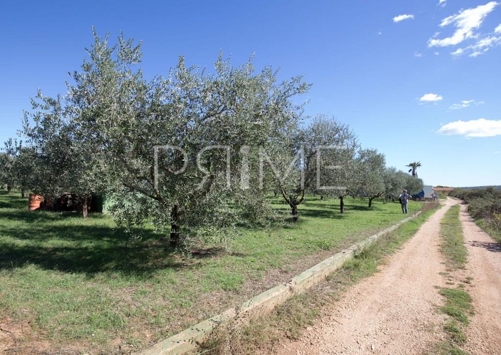 Image 6228584 - 5