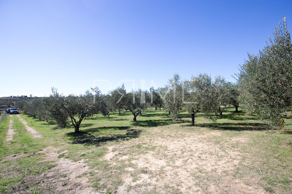Image 6228584 - 1